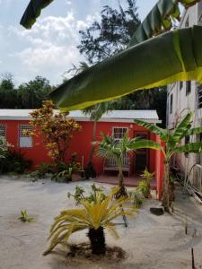 Canuck Cottages Guesthouse Bed And Breakfast Caye Caulker