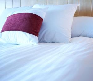 Classic Single Room room in Budock Vean Hotel