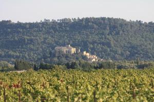 Maisons de vacances La Bastide des Vasses : photos des chambres