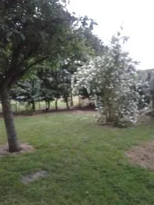 La Petite Chartreuse - Machiel