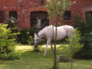 Stary Młyn Strzeszyn - SoftInclusive