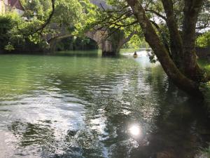 Maisons de vacances Gite sur Loue : photos des chambres