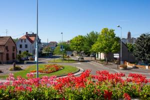 Appartement "Le MAIA" photo 6