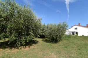 Holiday Home Villa Maggie Pula