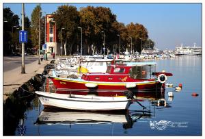 Apartment and Room Soul of Dalmatia