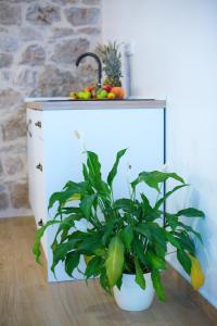 MANA Apartment Split Centre