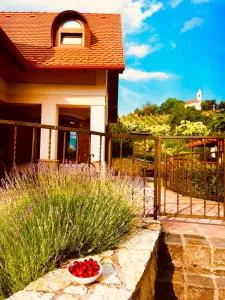 Nyugalom Szigete Vendégház SZIGLIGET - 鲍道乔尼特尔代米茨