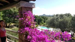 Agriturismo Desole - Berchiddeddu