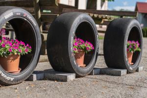 Gasthaus zur Waldschenke