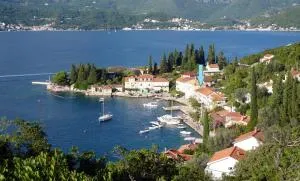 Rose - Apartmani Janovic - Mrkovi