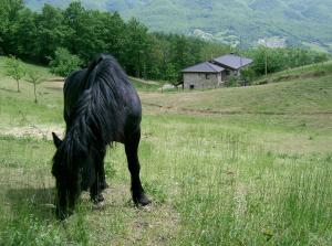 Agriturismo Le Querciole