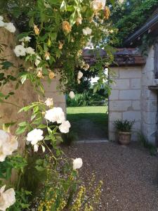 B&B / Chambres d'hotes Le Clos Falaw : photos des chambres