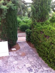 Rosa Marina Frontline Beach