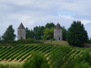 Maisons de vacances La ferme de Bousserand : photos des chambres