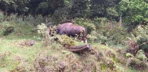 Holidays and Celebrations