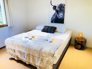 Maisons de vacances Angel Services - Le Vivier : photos des chambres