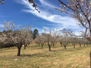 B&B / Chambres d'hotes Le clos des collines : photos des chambres