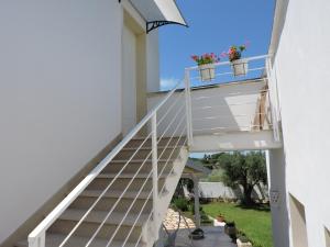 Sogno Mediterraneo