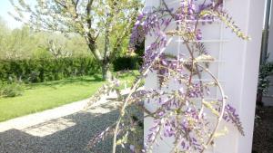 Maisons de vacances Gite Papillon : photos des chambres