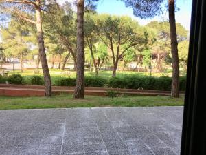 F2 "Le parc" CLIM, WIFI, PMR photo 24