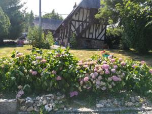 Maisons de vacances Le Clos des Hortensias : photos des chambres