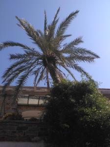 Krini Rooms Chios-Island Greece