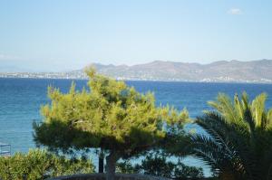 Saronic View Agistri Greece