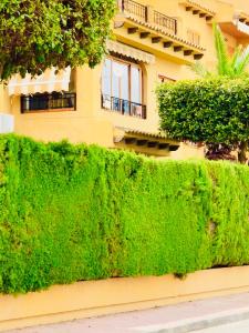 Modern Apartment Near The Beach