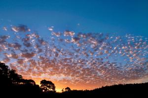 Bridgetown Valley Lodge