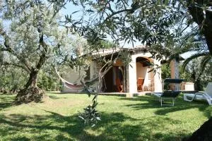 Casetta sulla Bolgherese immersa nel Verde - Castagneto Carducci