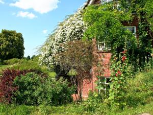Wohnung in Semlow mit Garten und Terrasse