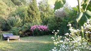 Stara Papiernia Zielony Lasek