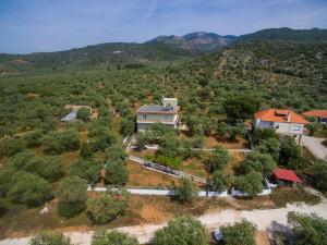 Villa Vista Al Mar Thassos Greece