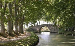 Appartements Beziers Studio Terrasse : photos des chambres