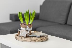 Apartamenty Święta Barbara