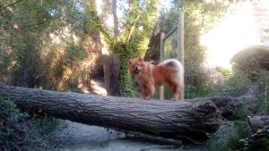 Apartamento Terrazas de Monachil