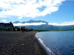 Departamento en Pucon