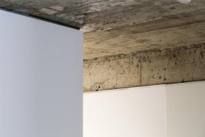 Fran Pacheco 39 (downtown apartment)