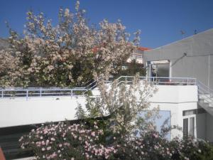 Seafront Studios and Apartments Chios-Island Greece