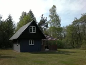 Nix at Gammel Rye - Brædstrup