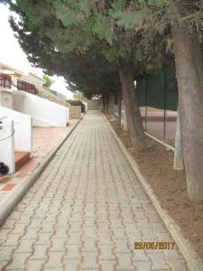 Lote 8 casa amarela