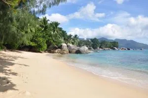 锡卢埃特岛美景公寓 - 锡卢埃特岛