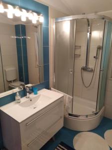 Apartment Ivo