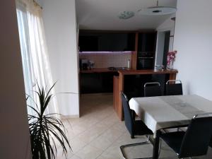 Apartment Ivo