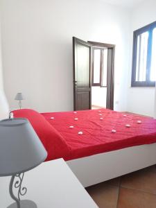 Apartment of kite and wine