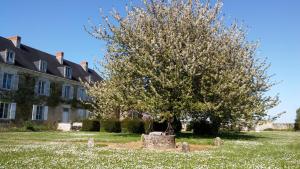 Maisons d'hotes Manoir De Vilaines : photos des chambres