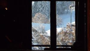 Appartements Appartement du Petit Bois : photos des chambres