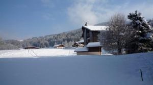 Appartements Appartement du Petit Bois : photos des chambres