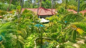 Ayurvedic Villa with Private Pool