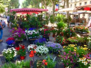 B&B / Chambres d'hotes Villa Rosa Beziers : photos des chambres